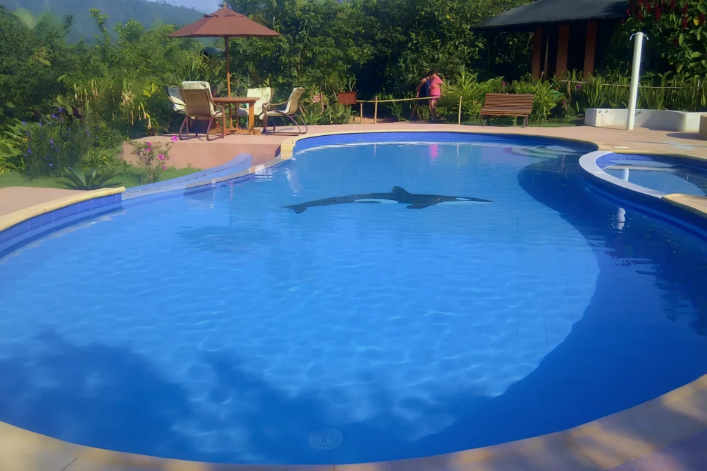 Piscina para hotel construida en Mindo por Piscinas Ecuador